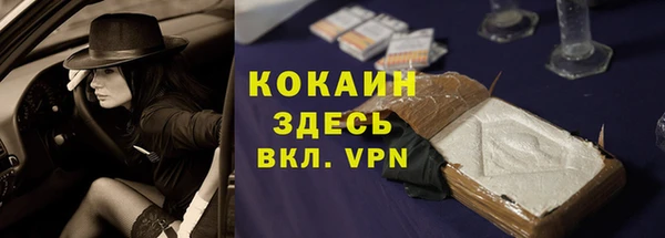 сатива Бердск