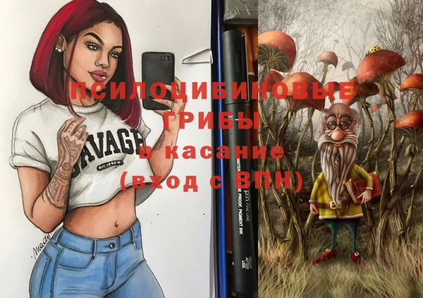 2c-b Ладушкин