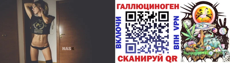 Галлюциногенные грибы Psilocybe  Свирск 